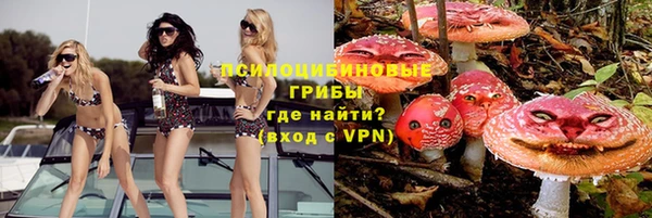 ALPHA-PVP Аркадак