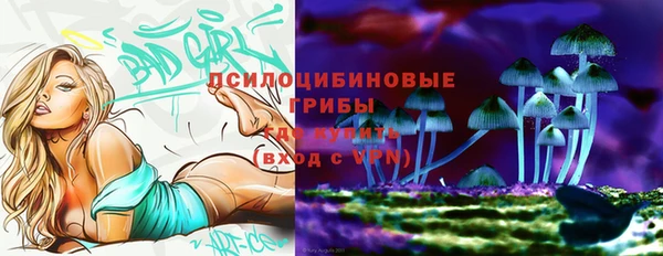 Альфа ПВП Арсеньев