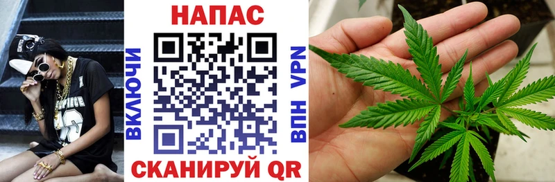 Купить где  Туринск  Конопля Amnesia 
